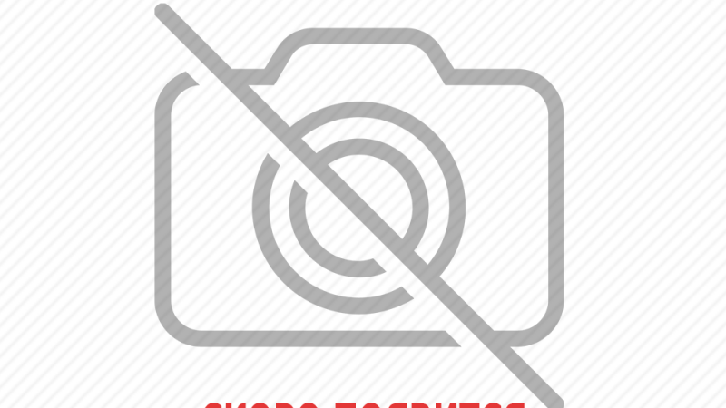 export_import
